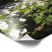 Foto Print mit Petunias (Ecke)