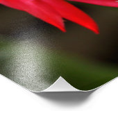 Foto Print - Osterkaktus (Ecke)