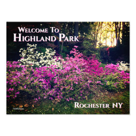 Foto Print - Willkommen im Highland Park Rochester