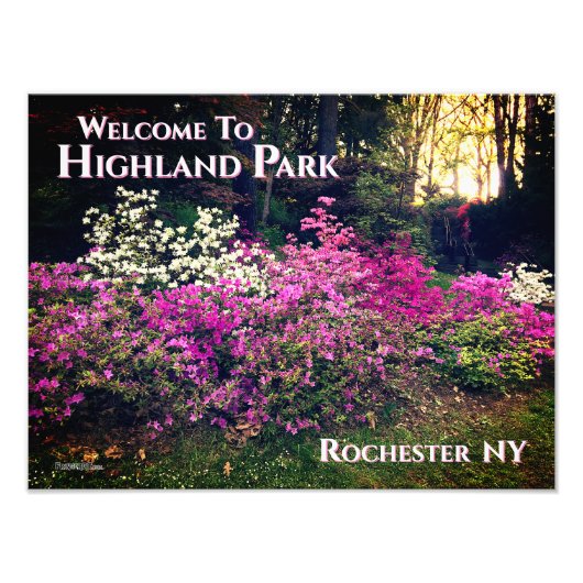 Foto Print - Willkommen im Highland Park Rochester (Vorne)