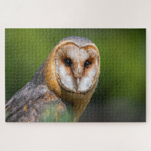 Foto Puzzle