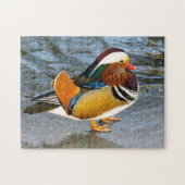 Foto Puzzle aus Mandarin (Horizontal)