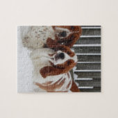 Foto-Puzzlespiel des Dachshund-Jagdhund-8x10 mit Puzzle (Horizontal)