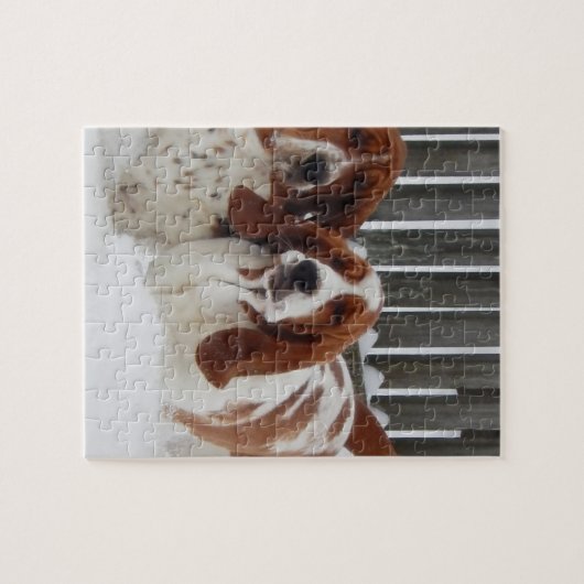 Foto-Puzzlespiel des Dachshund-Jagdhund-8x10 mit Puzzle (Horizontal)