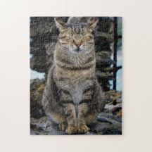 Foto-Puzzlespiel - Katze in Cinque Terre, Italien