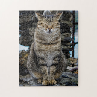 Foto-Puzzlespiel - Katze in Cinque Terre, Italien Puzzle