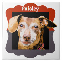 Foto-Rahmen für die Dackel