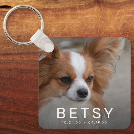 Foto-Rainbow-Bridge Schlüsselanhänger (Vorderseite)