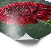 Foto "Red Water Droplet Blume" (Ecke)