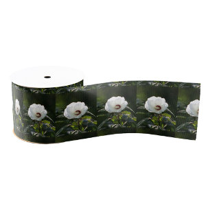 Foto Ribbon mit weißer Blume Ripsband