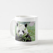 Foto Riesenpanda , Tiere 0004. Kaffeetasse (Vorderseite Links)