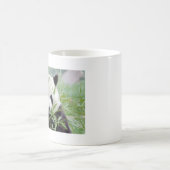 Foto Riesenpanda , Tiere 0004. Kaffeetasse (Mittel)