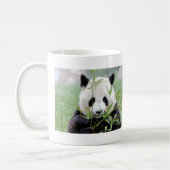 Foto Riesenpanda , Tiere 0004. Kaffeetasse (Links)
