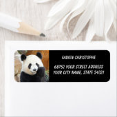 Foto Riesenpanda, Tiere 0344. (Insitu)