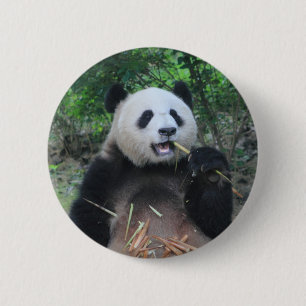 Foto Riesiger Panda Button