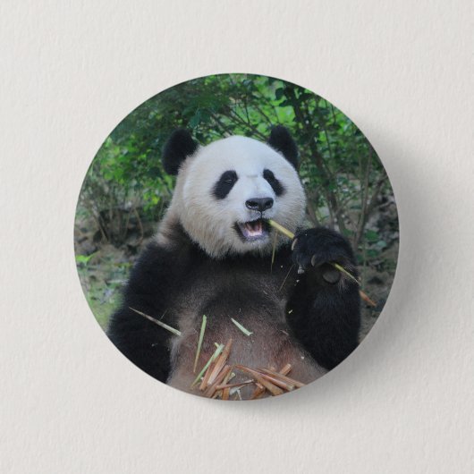 Foto Riesiger Panda Button (Vorderseite)