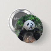 Foto Riesiger Panda Button (Vorne & Hinten)