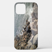 Foto Rocky Ocean Shore Case-Mate iPhone Hülle (Rückseite)