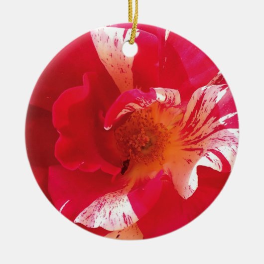 Foto Rosa und Weiß Keramik Ornament (Vorne)