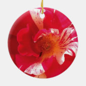 Foto Rosa und Weiß Keramik Ornament (Hinten)