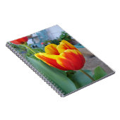 Foto Rot-Gelb-Tulip Notizblock (Rechte Seite)