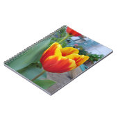 Foto Rot-Gelb-Tulip Notizblock (Linke Seite)