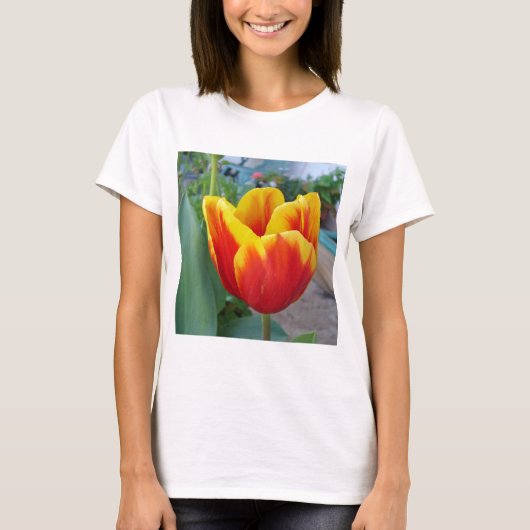 Foto Rot-Gelb-Tulip T-Shirt (Vorderseite)