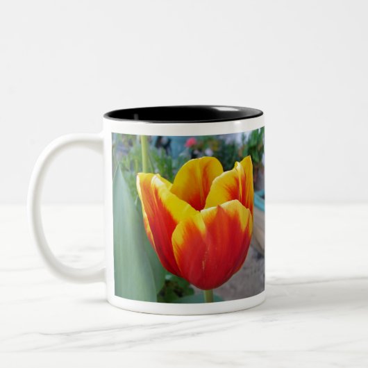 Foto Rot-Gelb-Tulip Zweifarbige Tasse (Links)