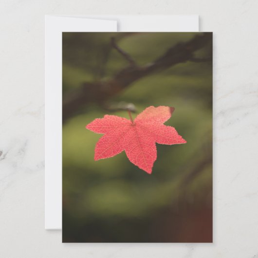 Foto "Roter Herbst" Karte (Vorderseite)