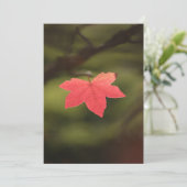 Foto "Roter Herbst" Karte (Stehend Vorderseite)