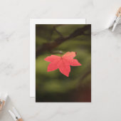 Foto "Roter Herbst" Karte (Vorderseite/Rückseite Beispiel)