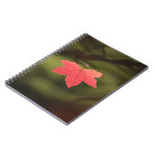 Foto "Roter Herbst" Notizblock (Linke Seite)