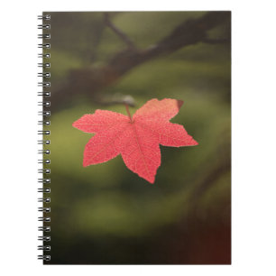 Foto "Roter Herbst" Notizblock