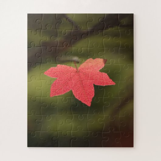Foto "Roter Herbst" Puzzle (Vertikal)