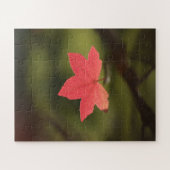 Foto "Roter Herbst" Puzzle (Horizontal)
