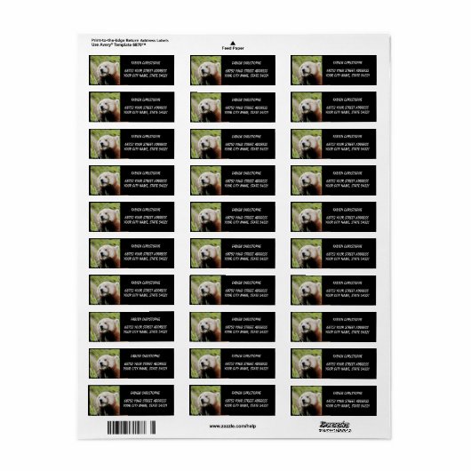 Foto Roter Panda, Tiere 0531. (Vorne)