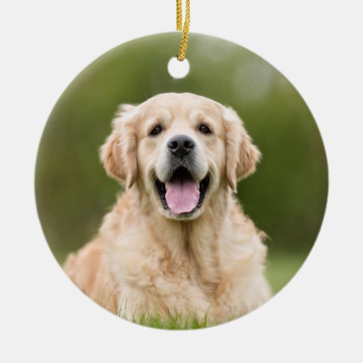 Foto Rotes Buffalo Karierter Verlust von Haustiere Keramik Ornament (Vorne)