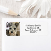 Foto-Rücksendeadresse (Insitu)