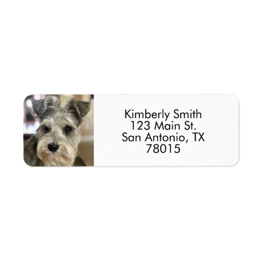 Foto-Rücksendeadresse (Vorne)