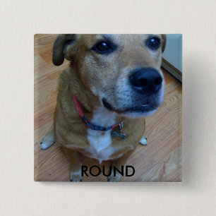 Foto, RUND Button