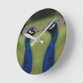 Foto rund um die Uhr (Winkel)