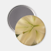 Foto "Runder Lillum Blume" Magnet (Vorderseite/Rückseite)