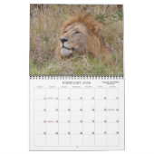 Foto SAFARI - AFRIKA-Kalender Kalender (Feb 2026)
