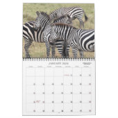Foto SAFARI - AFRIKA-Kalender Kalender (Jan 2026)