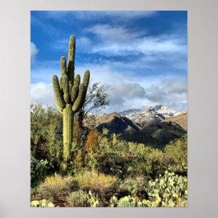Foto Saguaro Cactus Winter Arizona Poster