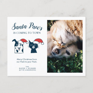 Foto   Santa Paws   Cat Dog Christmas Feiertagspostkarte