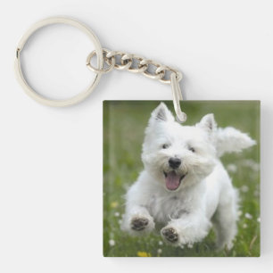 Foto Schlüsselanhänger-Geschenkdote oder Puppy-Mam Schlüsselanhänger