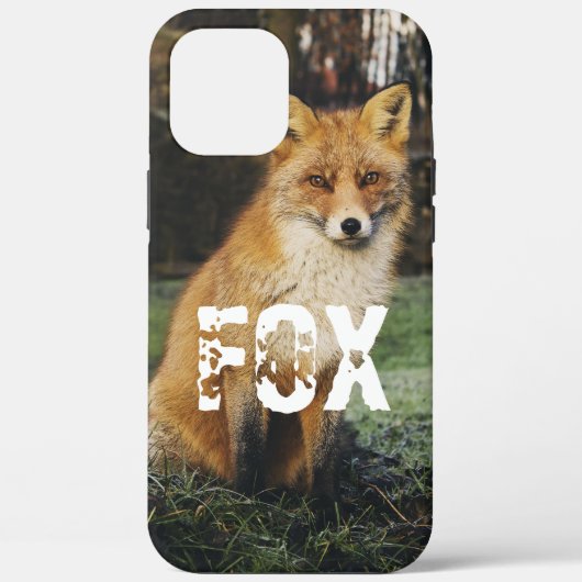 Foto schmückend Tier Fox niedliche Natur Grün Case-Mate iPhone Hülle (Rückseite)