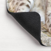 Foto Schnee Leopard Katze Tiere. Mousepad (Ecke)