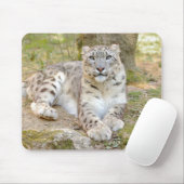 Foto Schnee Leopard Katze Tiere. Mousepad (Mit Mouse)